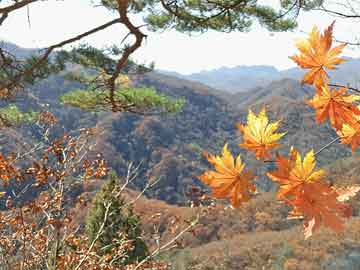 九游体育在线-【锦标赛战况】高手云集，谁能问鼎年度冠军？，锦标赛视频