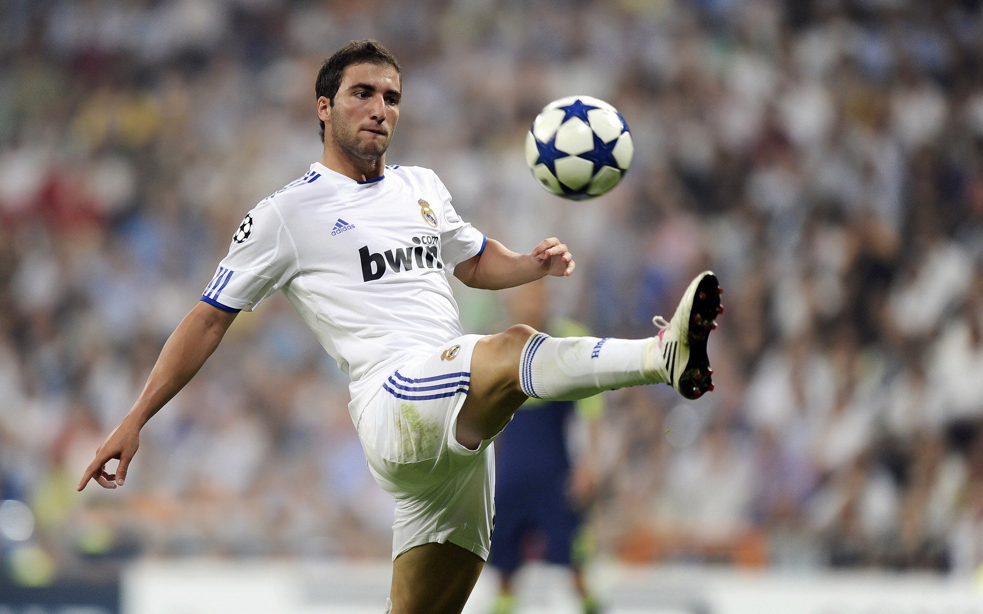 “速度之魂”——冠军车手的血性与荣耀,速度之星